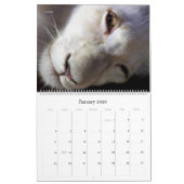 Calendrier mural - Beauté par HAMbyWG (Jan 2026)