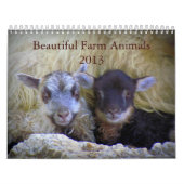 Calendrier Mural Beaux animaux de ferme (Protection)
