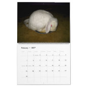 Calendrier Mural beaux lapins (Feb 2027)