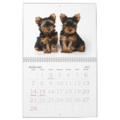 Calendrier Mural Beaux terriers de Yorkshire (Feb 2027)