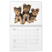 Calendrier Mural Beaux terriers de Yorkshire (Mar 2027)