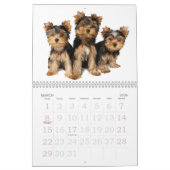 Calendrier Mural Beaux terriers de Yorkshire (Mar 2026)