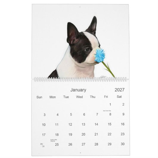 Calendrier Mural Bébés 2 de Boston (Jan 2027)