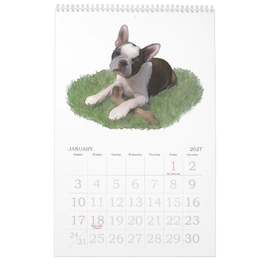 Calendrier Mural Bébés de Boston Terrier (Jan 2027)