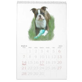Calendrier Mural Bébés de Boston Terrier (Mar 2027)