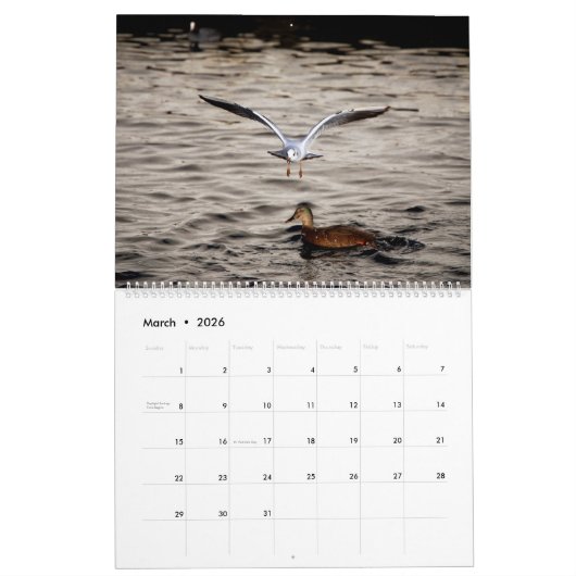 Calendrier Mural Belles Captures (Mar 2026)