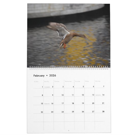 Calendrier Mural Belles Captures (Feb 2026)