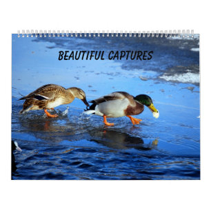 Calendrier Mural Belles Captures