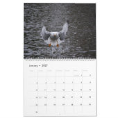 Calendrier Mural Belles Captures (Jan 2027)