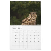 Calendrier Mural Belles images et images 2017 de hibou (Feb 2026)