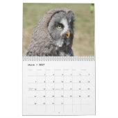 Calendrier Mural Belles images et images 2017 de hibou (Mar 2027)