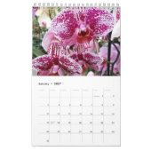 Calendrier Mural Belles Orchidées (Jan 2027)