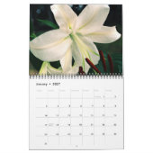 Calendrier Mural Belles photos de Lily (Jan 2027)