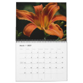 Calendrier Mural Belles photos de Lily (Mar 2027)