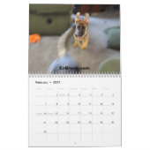 Calendrier Mural Bergers allemands dans l'action (Feb 2027)