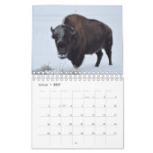 Calendrier Mural Bison (Jan 2027)
