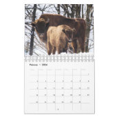 Calendrier Mural Bison (Feb 2026)