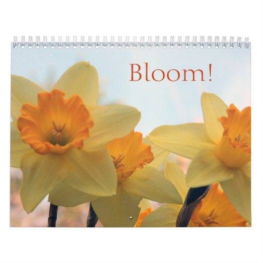 Calendrier Mural Blooms (Protection)