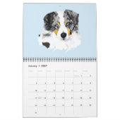 Calendrier Mural Blue Merle Australian Shepherd Deux pages M.Calend (Jan 2027)