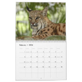 Calendrier Mural BobcatBCR032, chats sauvages (Feb 2026)