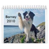 Calendrier Mural Border collie 2010 (Protection)