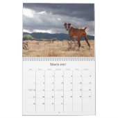 CALENDRIER MURAL BOXEURS 2010 (Mar 2027)