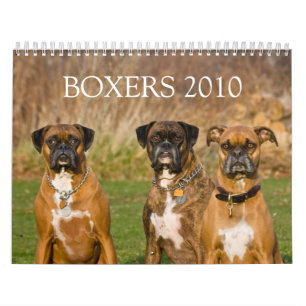 CALENDRIER MURAL BOXEURS 2010