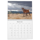 CALENDRIER MURAL BOXEURS 2010 (Mar 2026)