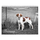 Calendrier Mural Brittanys (Protection)