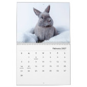 Calendrier mural Bunnies (Feb 2027)