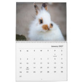 Calendrier mural Bunnies (Jan 2027)