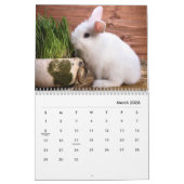 Calendrier mural Bunnies (Mar 2026)
