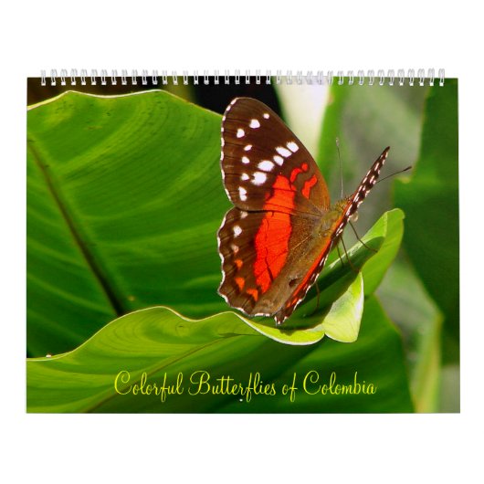 Calendrier Mural Butteflies tropical (Protection)