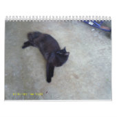 Calendrier Mural calander blinky (Protection)