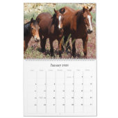 Calendrier Mural Calendrier, faune, chevaux sauvages, Etats-Unis (Jan 2026)
