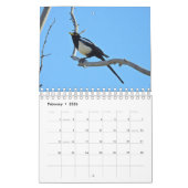 Calendrier Mural Calendrier, faune, oiseaux sauvages de la (Feb 2026)