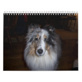 Calendrier Mural Calendrier-Wheaton 2011 de Gallagher (Protection)