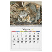 Calendrier Mural Canadien Lynx 4200e, Canadien Lynx (Feb 2027)