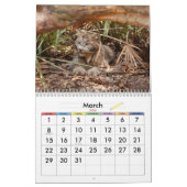 Calendrier Mural Canadien Lynx 4200e, Canadien Lynx (Mar 2026)