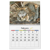 Calendrier Mural Canadien Lynx 4200e, Canadien Lynx (Feb 2026)