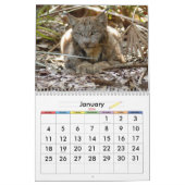 Calendrier Mural Canadien Lynx 4200e, Canadien Lynx (Jan 2026)