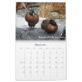 Calendrier Mural Canards de la Nouvelle Zélande (Mar 2027)