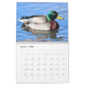Calendrier Mural Canards de Mallard (Jan 2026)