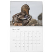 Calendrier Mural Canards de Mallard (Mar 2027)