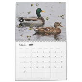 Calendrier Mural Canards de Mallard (Feb 2027)