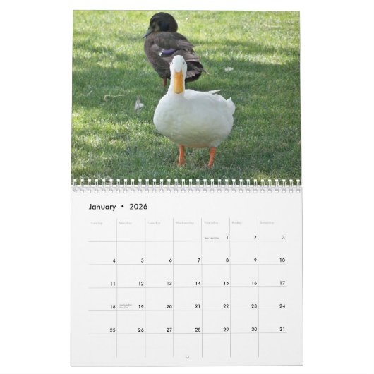 Calendrier Mural Canards sauvages (Jan 2026)