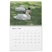 Calendrier Mural Canards sauvages (Feb 2027)
