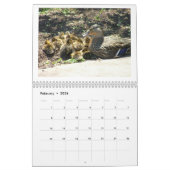 Calendrier Mural Canetons de Mallard (Feb 2026)