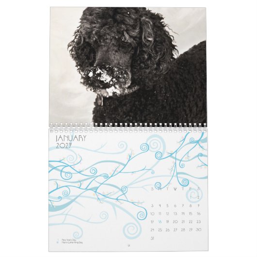 Calendrier Mural Caniche standard 2010 (Jan 2027)