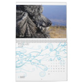 Calendrier Mural Caniche standard 2010 (Feb 2027)